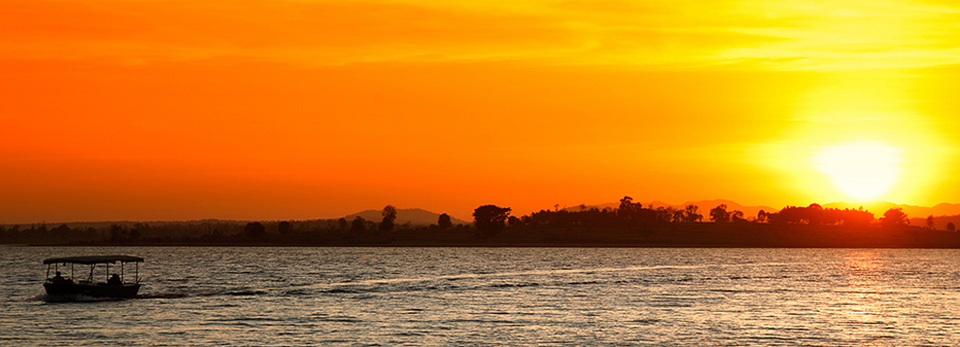 在线短信验证码接收